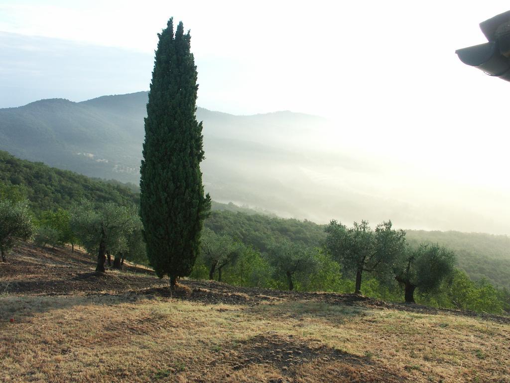 Villa Castello Di Mongiovino Panicale Zimmer foto